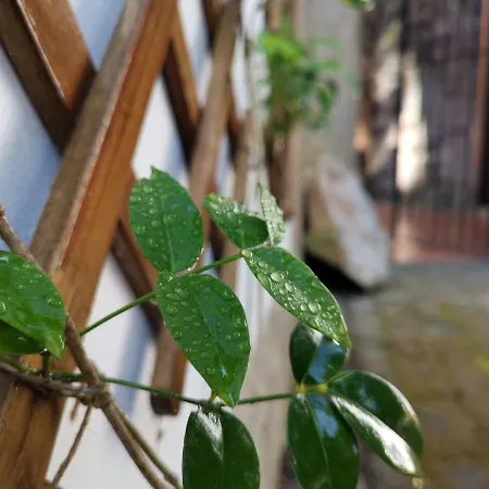 O Refugio - Espaco Natural, Amplo E Privado *