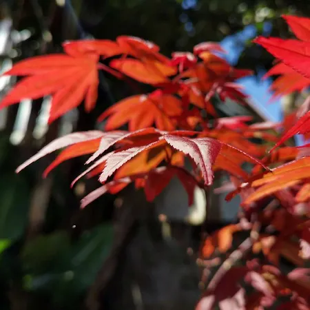 Nyaraló O Refugio - Espaco Natural, Amplo E Privado Angra do Heroísmo