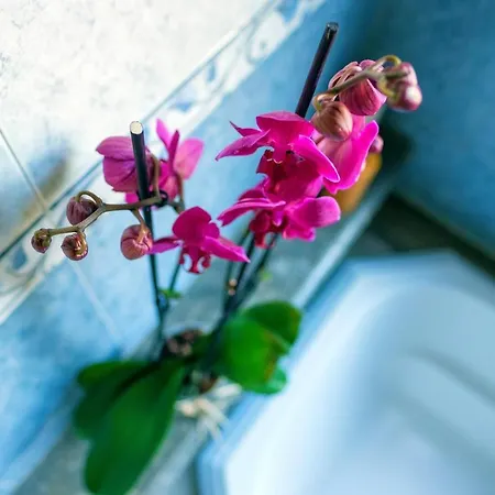 O Refugio - Espaco Natural, Amplo E Privado *