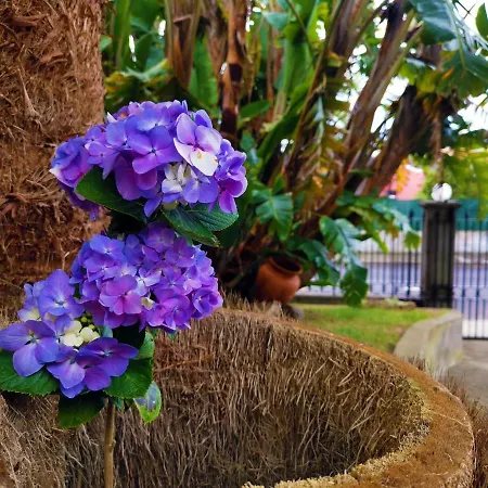 O Refugio - Espaco Natural, Amplo E Privado * Angra do Heroísmo