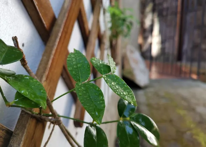 O Refugio - Espaco Natural, Amplo E Privado *