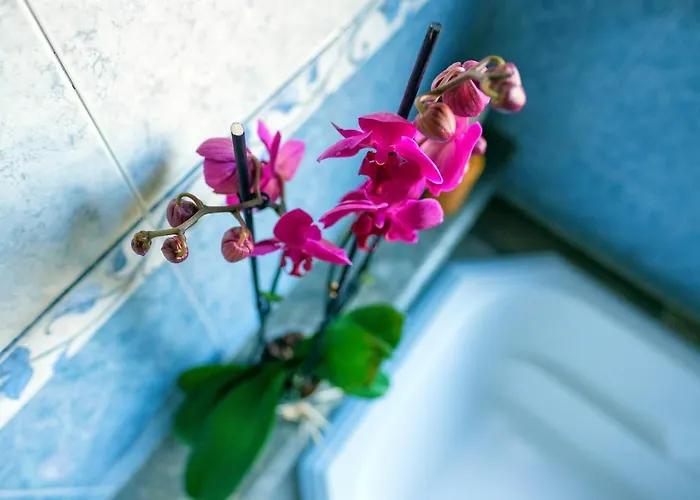 O Refugio - Espaco Natural, Amplo E Privado *