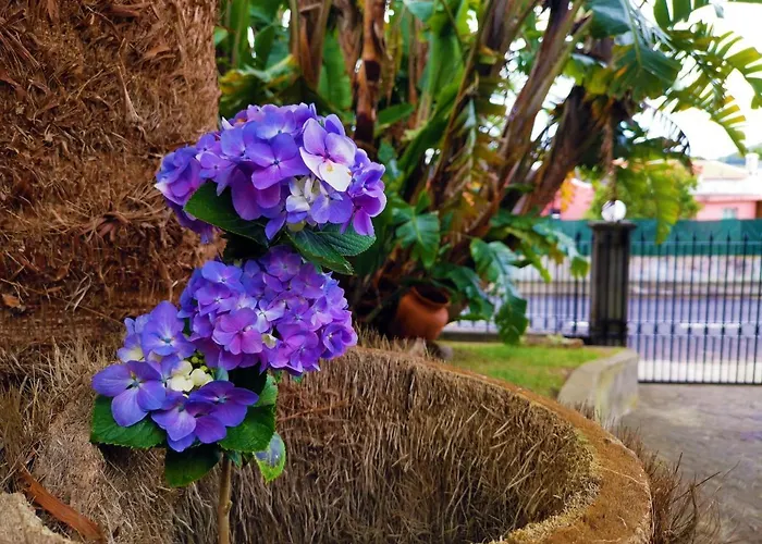 O Refugio - Espaco Natural, Amplo E Privado * Angra do Heroísmo